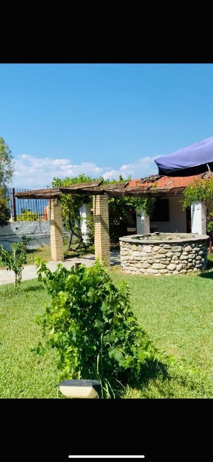 Village Dimopoulos Rodhodhafni Ngoại thất bức ảnh